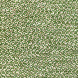 Sasson Texture Green by Brunschwig & Fils Fabric