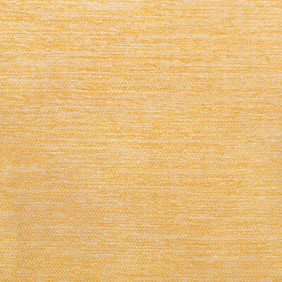 8022126.40.0 by Brunschwig & Fils Fabric Brunschwig & Fils Fabric 8022126.40.0Fabric CHAMBERY TEXTURES III COTTON - 65%;RAYON - 35% United States </p><p>Repeat: H: , V: 54 - Fabric Carolina -