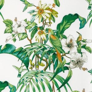 Anima Print Leaf by Brunschwig & Fils Fabric