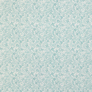 Anduze Print Sky 8023122.15.0 by Brunschwig & Fils Fabric