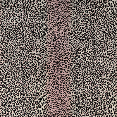 Brunschwig & Fils Multipurpose 8023125.17.0 Multipurpose POLYESTER - 100% France </p><p>Repeat: H: , V: 27.5 21 - My Fabric Connection -