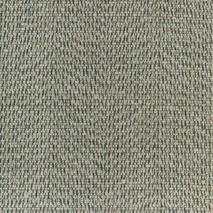 Diderot Texture Green 8023132.353.0 by Brunschwig & Fils Fabric