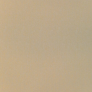Pipet Texture Wheat 8023152.166.0 by Brunschwig & Fils Fabric