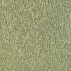 Pipet Texture Leaf 8023152.3.0 by Brunschwig & Fils Fabric