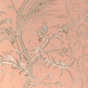 Bird And Thistle Ii Peach 8024101.1216.0 by Brunschwig & Fils Fabric