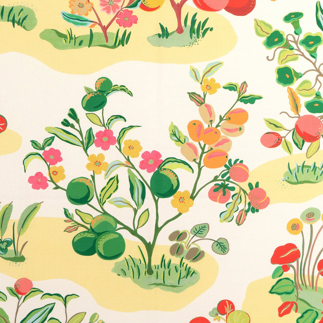 Pomelo Print - Spring By Brunschwig & Fils Fabric