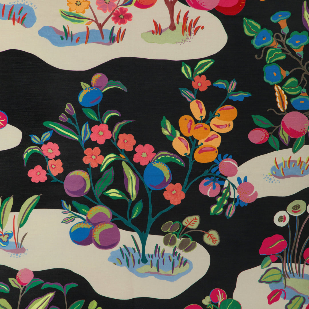 Pomelo Print - Noir By Brunschwig & Fils Fabric