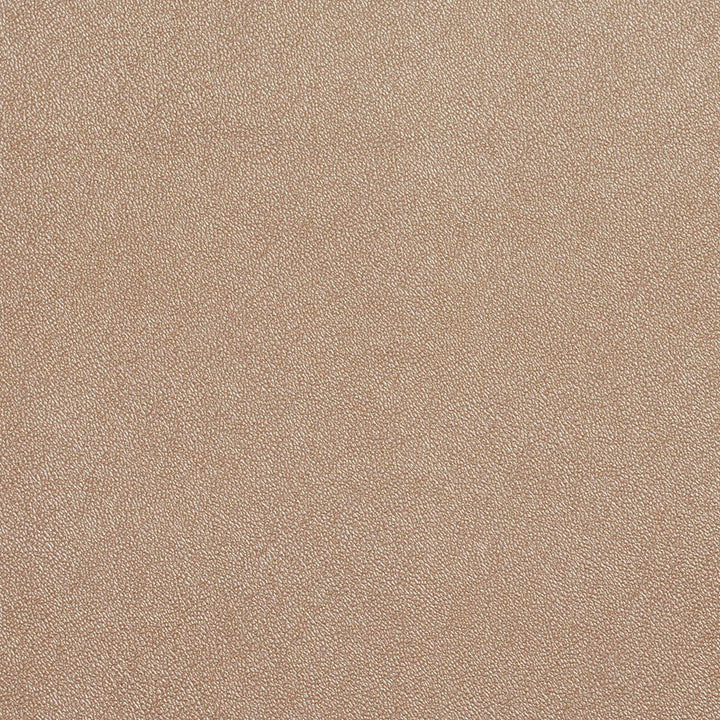 8025 Cafe by Charlotte Fabric Decorative Vinyls 100% Virgin Vinyl, 26oz. Europe Exceeds 200,000 Wyzenbeek Rubs (Heavy Duty) No Repeat 54 Inches - Fabric Carolina -