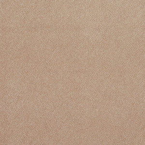8025 Cafe by Charlotte Fabric