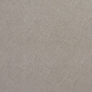 8028 Platinum by Charlotte Fabric