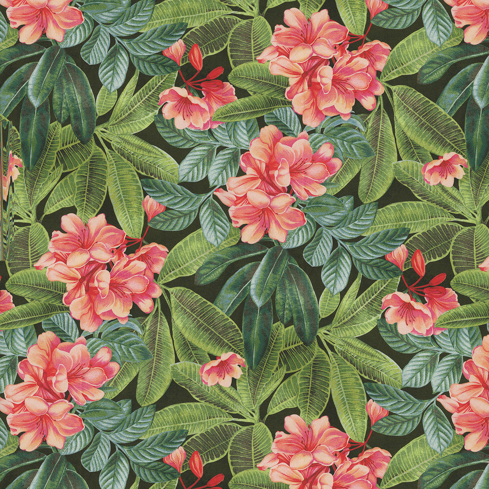 Darwin Flora Noir 802930 by Tommy Bahama Home Fabric 100% cotton Peru 20000 Horizontal: 27 and Vertical: 25.25 54/55 - Fabric Carolina -