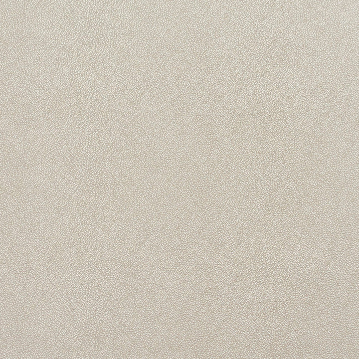 8030 Parchment by Charlotte Fabric Decorative Vinyls 100% Virgin Vinyl, 26oz. Europe Exceeds 200,000 Wyzenbeek Rubs (Heavy Duty) No Repeat 54 Inches - Fabric Carolina -