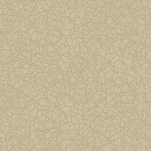 8055 14W7661 by JF Wallpaper WOODBINE WALLCOVERINGS 100% Wallpaper GERMANY (see sample) Horizontal: N/A and Vertical: 10.400 20.80 - Fabric Carolina -