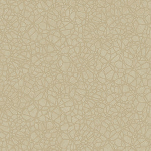 8055 14W7661 by JF Wallcovering