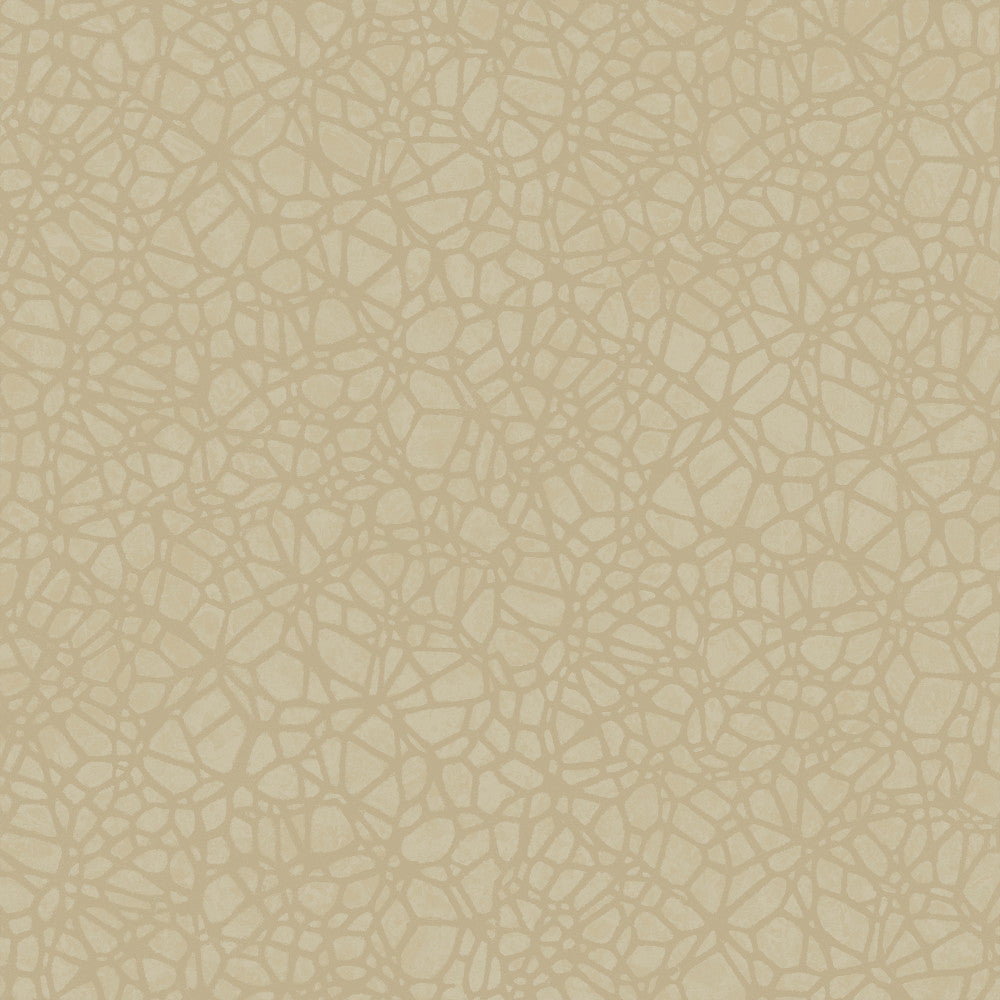 8055 14W7661 by JF Wallcovering WOODBINE WALLCOVERINGS 100% Wallpaper Germany Horizontal: and Vertical: 10.4 20.8 inches, 11 yards per roll. - Fabric Carolina -