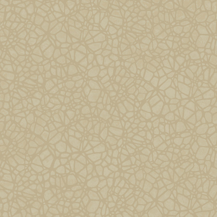 8055 14W7661 by JF Wallcovering WOODBINE WALLCOVERINGS 100% Wallpaper Germany Horizontal: and Vertical: 10.4 20.8 inches, 11 yards per roll. - Fabric Carolina -