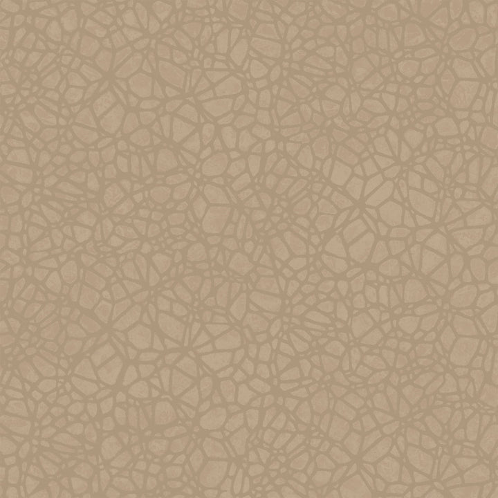 8055 24W7661 by JF Wallcovering WOODBINE WALLCOVERINGS 100% Wallpaper Germany Horizontal: and Vertical: 10.4 20.8 - Fabric Carolina -
