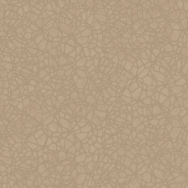 8055 24W7661 by JF Wallpaper WOODBINE WALLCOVERINGS 100% Wallpaper GERMANY (see sample) Horizontal: N/A and Vertical: 10.400 20.80 - Fabric Carolina -