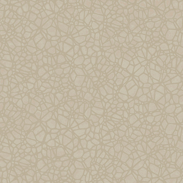 8055 92W7921 by JF Wallpaper WALLPAPER SAMPLE CARD SETS 100% Wallpaper GERMANY (see sample) Horizontal: N/A and Vertical: 10.400 20.80 - Fabric Carolina -