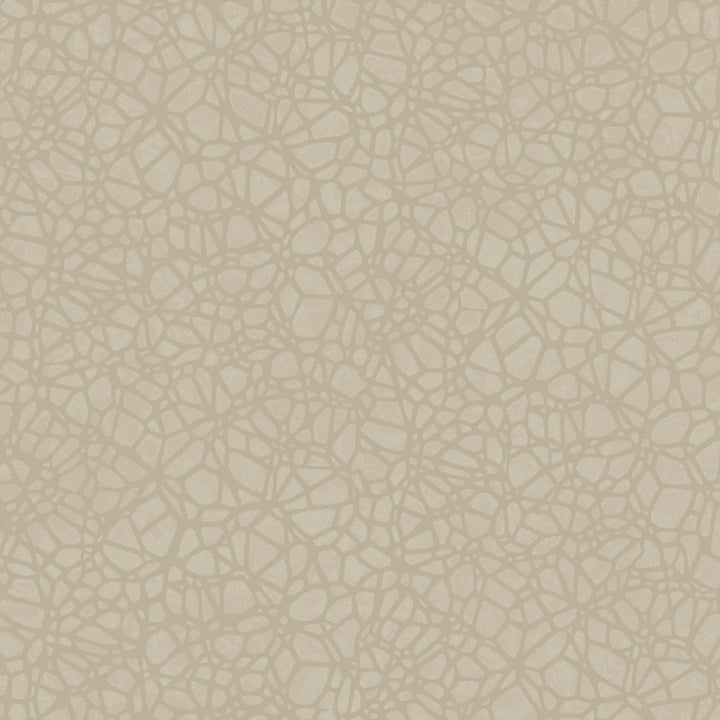 8055 92W7921 by JF Wallcovering WALLPAPER SAMPLE CARD SETS 100% Wallpaper Germany Horizontal: and Vertical: 10.4 20.8 - Fabric Carolina -