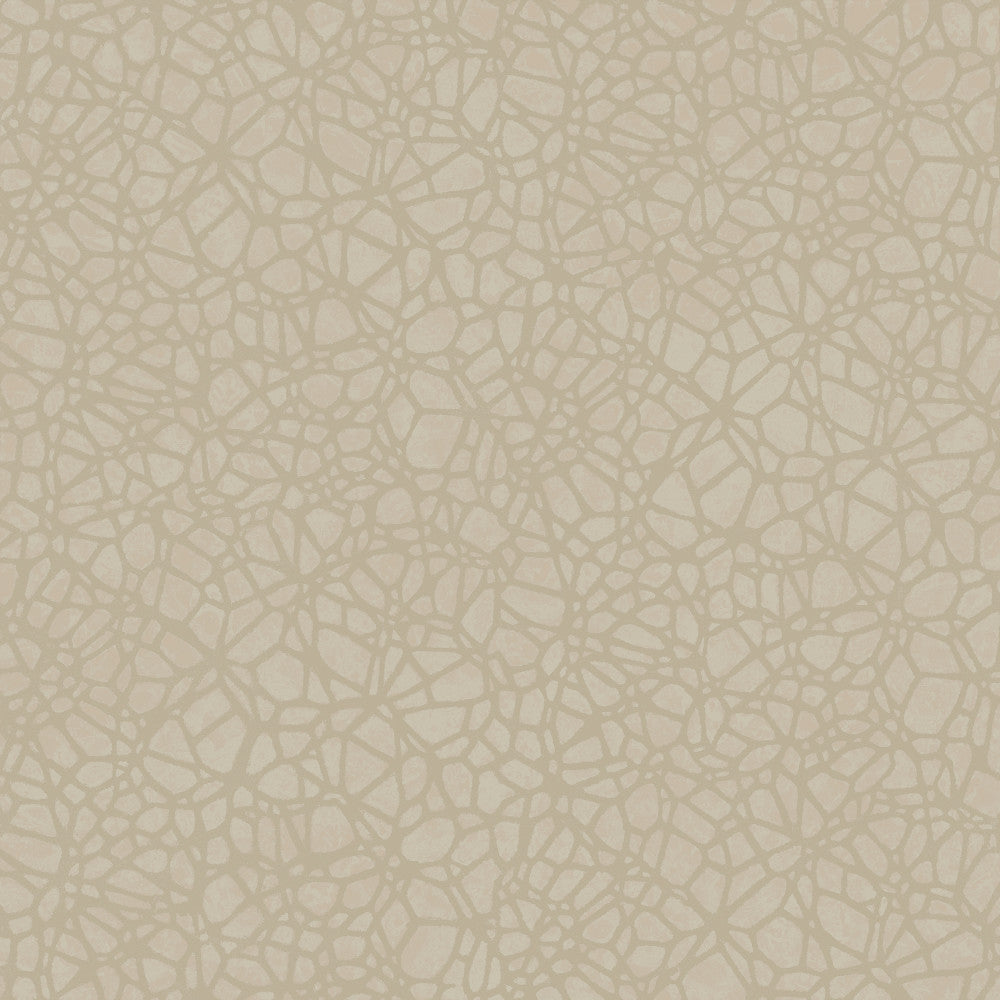 8055 92W7921 by JF Wallcovering WALLPAPER SAMPLE CARD SETS 100% Wallpaper Germany Horizontal: and Vertical: 10.4 20.8 inches, 11 yards per roll. - Fabric Carolina -