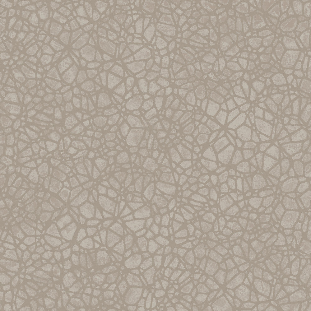 8055 94W7661 by JF Wallcovering WOODBINE WALLCOVERINGS 100% Wallpaper Germany Horizontal: and Vertical: 10.4 20.8 inches, 11 yards per roll. - Fabric Carolina -
