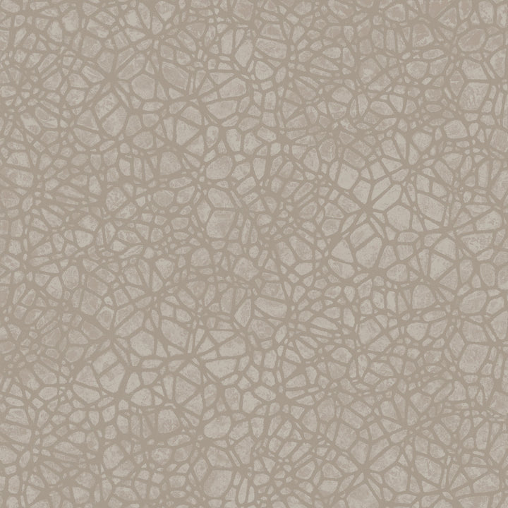 8055 94W7661 by JF Wallcovering WOODBINE WALLCOVERINGS 100% Wallpaper Germany Horizontal: and Vertical: 10.4 20.8 inches, 11 yards per roll. - Fabric Carolina -