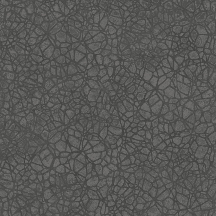 8055 98W7921 by JF Wallcovering WALLPAPER SAMPLE CARD SETS 100% Wallpaper Germany Horizontal: and Vertical: 10.4 20.8 inches, 11 yards per roll. - Fabric Carolina -