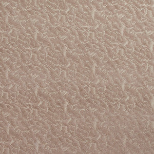 8057 Dove by Charlotte Fabric