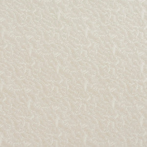 8058 Shell by Charlotte Fabric