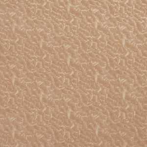 8059 Oat by Charlotte Fabric