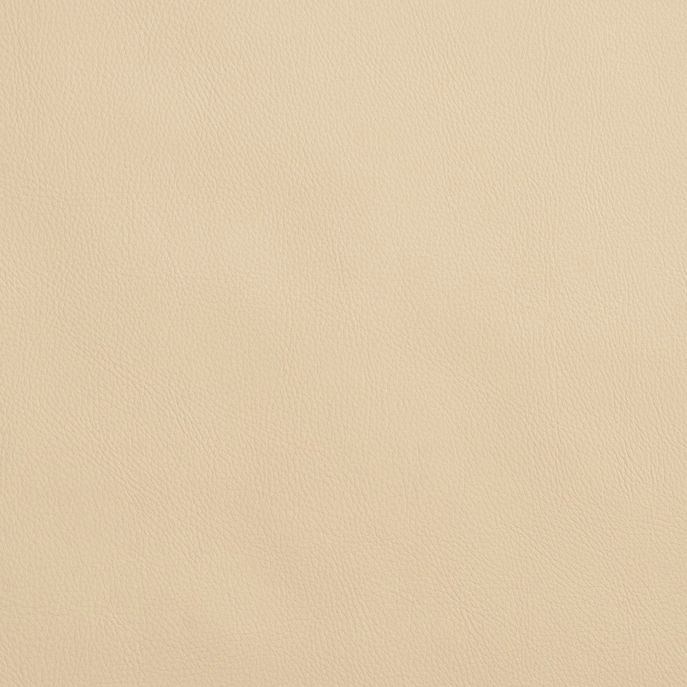 8065 Ivory by Charlotte Fabric UltraHyde Face: Vinyl/Polyurethane, Back: Polyester Microsuede, 29oz. Asia Exceeds 2,000,000 Wyzenbeek Double Rubs (Heavy Duty) </p><p>Repeat: No Repeat 54 Inches - Fabric Carolina -