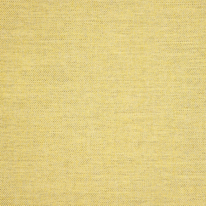 40487-0025 Idol Canary by Sunbrella Fabric Sunbrella Upholstery Sunbrella Acrylic USA or Imported 5-Year Horizontal: 14 in. and Vertical: 18 in. 54 in. - Fabric Carolina -