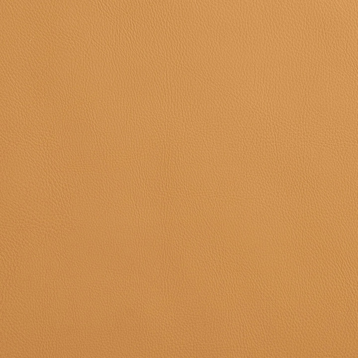 8072 Camel by Charlotte Fabric UltraHyde Face: Vinyl/Polyurethane, Back: Polyester Microsuede, 29oz. Asia Exceeds 2,000,000 Wyzenbeek Double Rubs (Heavy Duty) </p><p>Repeat: No Repeat 54 Inches - Fabric Carolina -