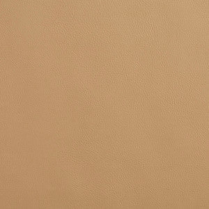 8079 Sandalwood by Charlotte Fabric