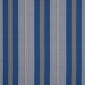 Scoop Stripe Neptune 80810 by Schumacher Fabric