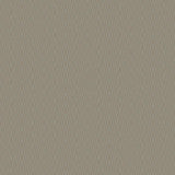 8088 36W7951 by JF Wallpaper BISCAYNE BAY WALLCOVERINGS 100% Wallpaper GERMANY (see sample) Horizontal: N/A and Vertical: 1.600 20.80 - Fabric Carolina -