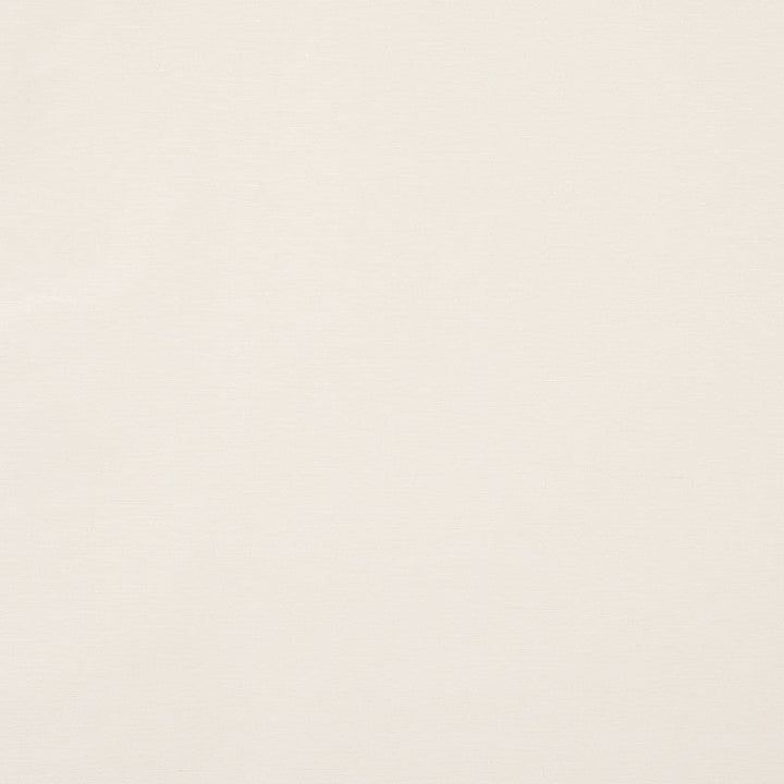 Legere Ground Ivory 80910 by Schumacher Fabric Schumacher Fabric Legere Ground Ivory 80910Fabric SILK 38% INDIA </p><p>Repeat: H: 0, V: 0 54 - Fabric Carolina -