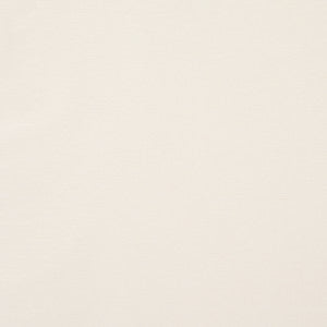 Legere Ground Ivory 80910 by Schumacher Fabric