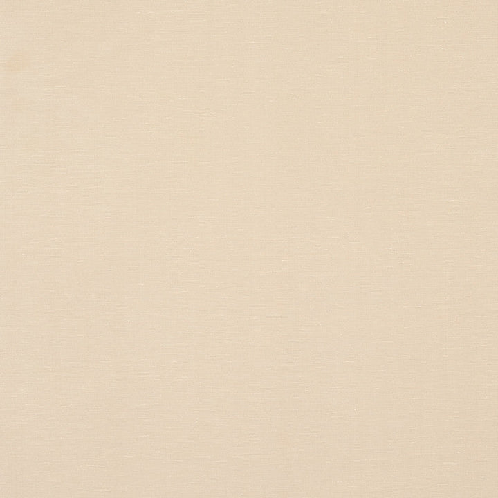 Legere Ground Sand 80911 by Schumacher Fabric Schumacher Fabric Legere Ground Sand 80911Fabric SILK 38% INDIA </p><p>Repeat: H: 0, V: 0 54 - Fabric Carolina -