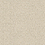 8092 33W7951 By JF Wallcovering