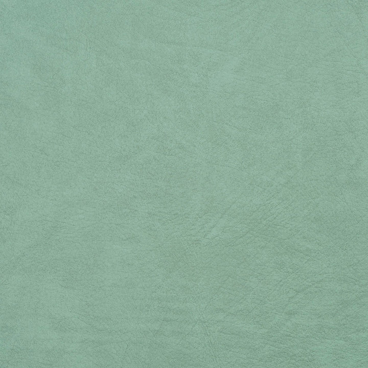 8100 Mint by Charlotte Fabric Soft Touch Leather Looks 100% Vinyl, 29oz. Asia Exceeds 200,000 Wyzenbeek Rubs (Heavy Duty) </p><p>Repeat: 54 Inches - Fabric Carolina -