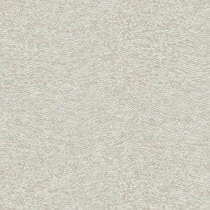 8101 71W8431 By JF Wallcovering