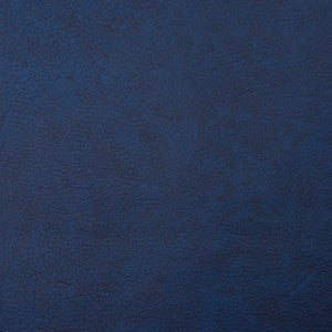 8101 Navy by Charlotte Fabric