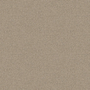8105 17W8441 by JF Wallcovering