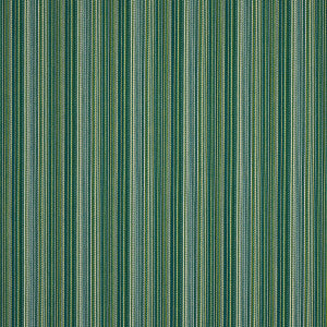 Fino Stripe Indoor/Outdoor Green 81071 by Schumacher Fabric