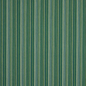 Fino Stripe Indoor/Outdoor Green 81071 by Schumacher Fabric