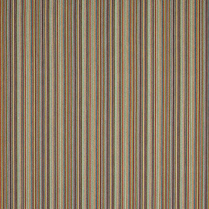 Fino Stripe Indoor/Outdoor Multi 81072 by Schumacher Fabric