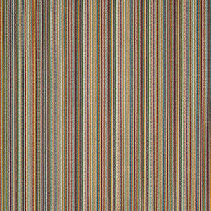 Fino Stripe Indoor/Outdoor Multi 81072 by Schumacher Fabric