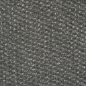 Dean Indoor/Outdoor Grey 81120 by Schumacher Fabric
